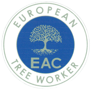 Baumpflege Wertingen European-Tree-Worker Zertifikat
